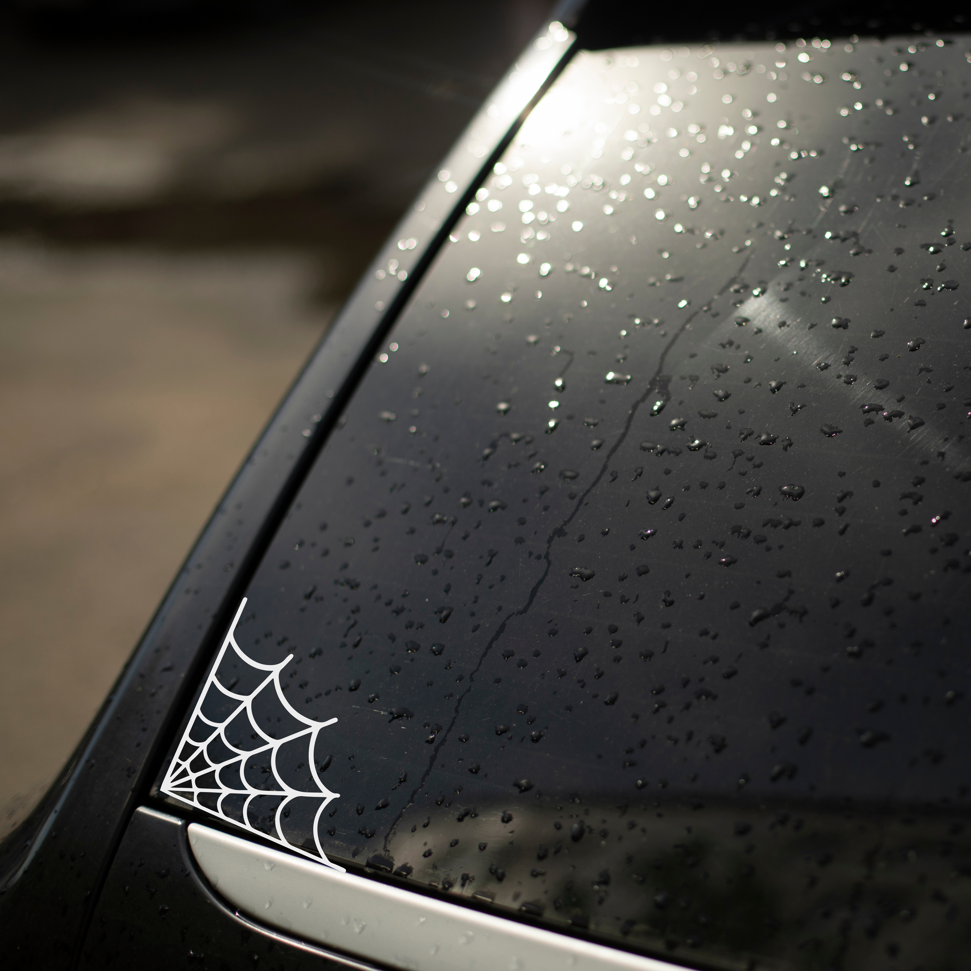 White spider web vinyl car decal on a black suv with tinted windows. 