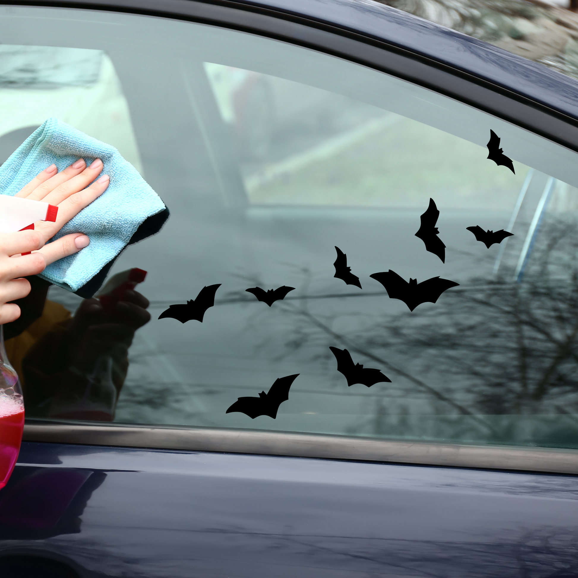Matte black bats flying on a clear window on a car with a blue sedan